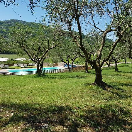 Il Vecchio Gelso - Agriturismo Rimini Montefiore Conca Villa Kültér fotó