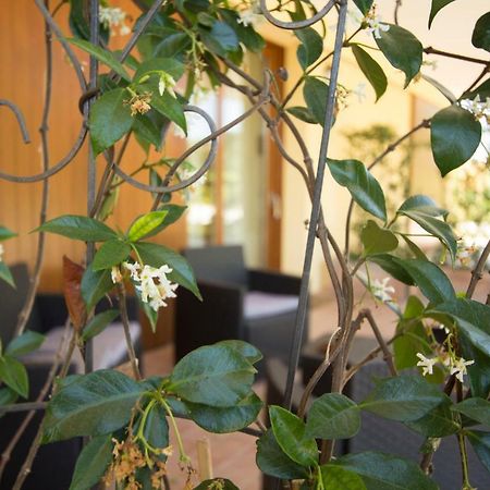 Il Vecchio Gelso - Agriturismo Rimini Montefiore Conca Villa Kültér fotó