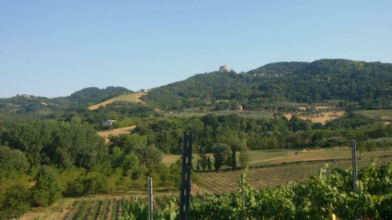 Il Vecchio Gelso - Agriturismo Rimini Montefiore Conca Villa Kültér fotó