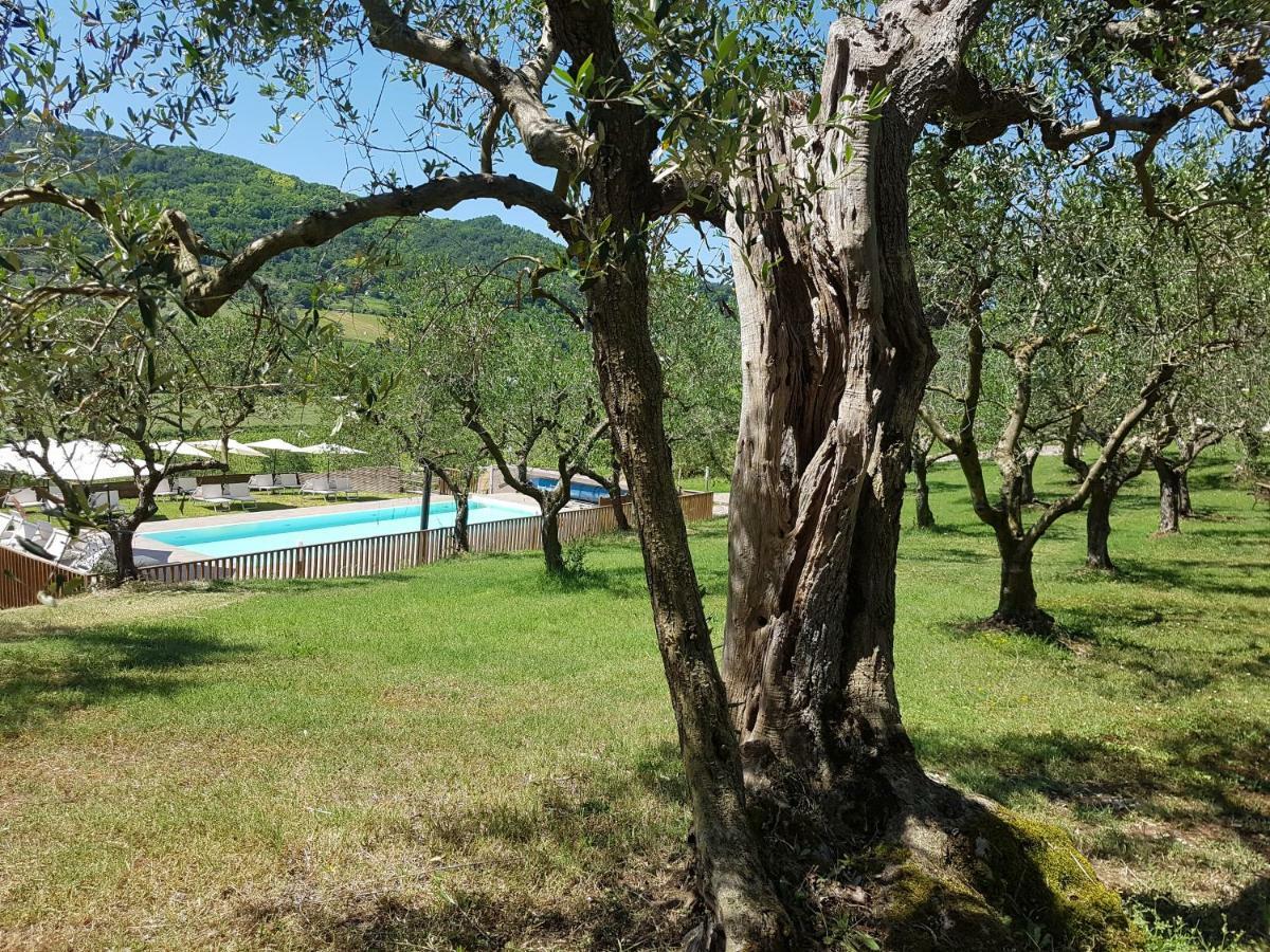 Il Vecchio Gelso - Agriturismo Rimini Montefiore Conca Villa Kültér fotó