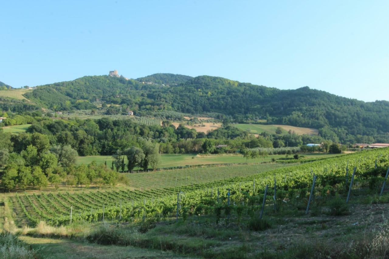Il Vecchio Gelso - Agriturismo Rimini Montefiore Conca Villa Kültér fotó