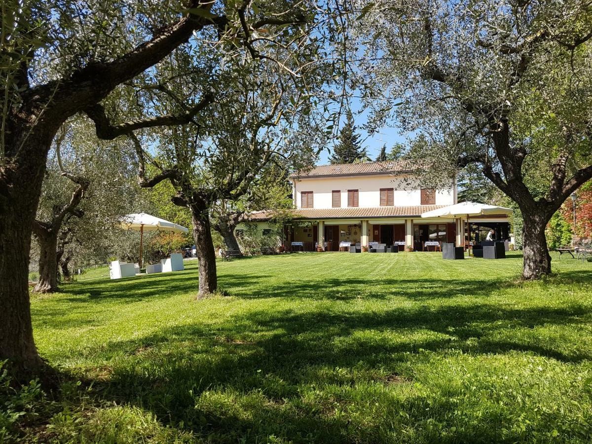 Il Vecchio Gelso - Agriturismo Rimini Montefiore Conca Villa Kültér fotó