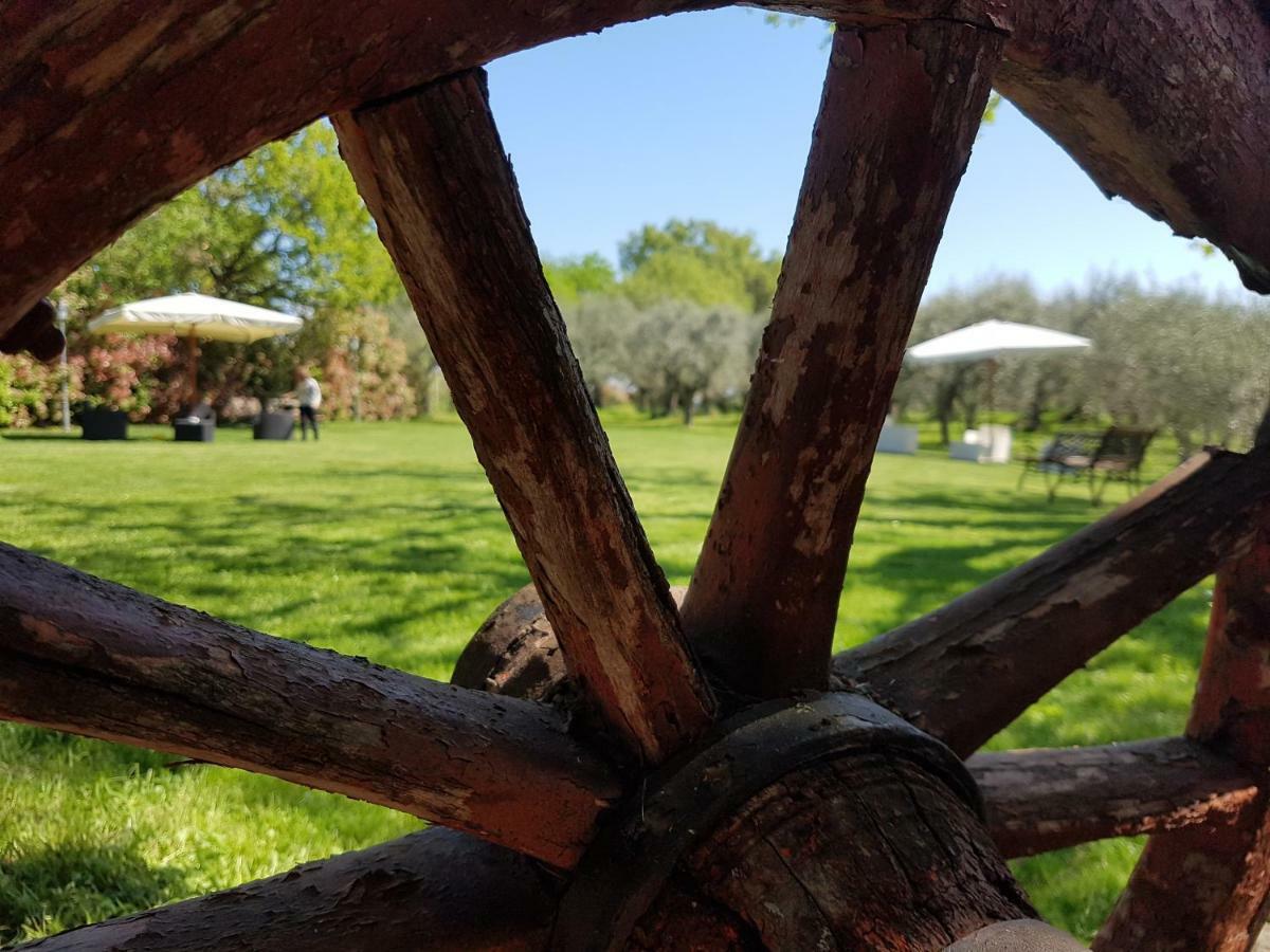 Il Vecchio Gelso - Agriturismo Rimini Montefiore Conca Villa Kültér fotó