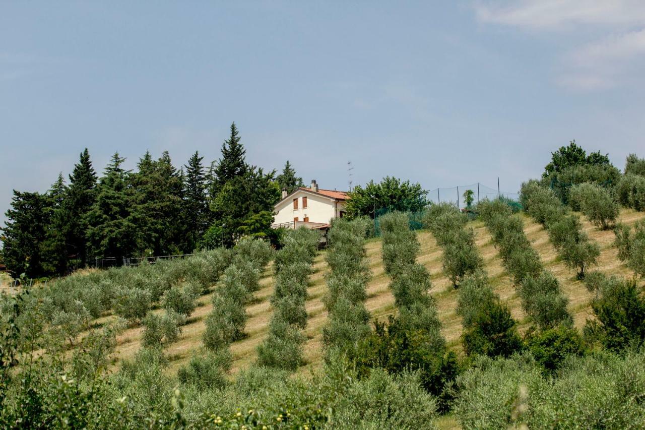 Il Vecchio Gelso - Agriturismo Rimini Montefiore Conca Villa Kültér fotó