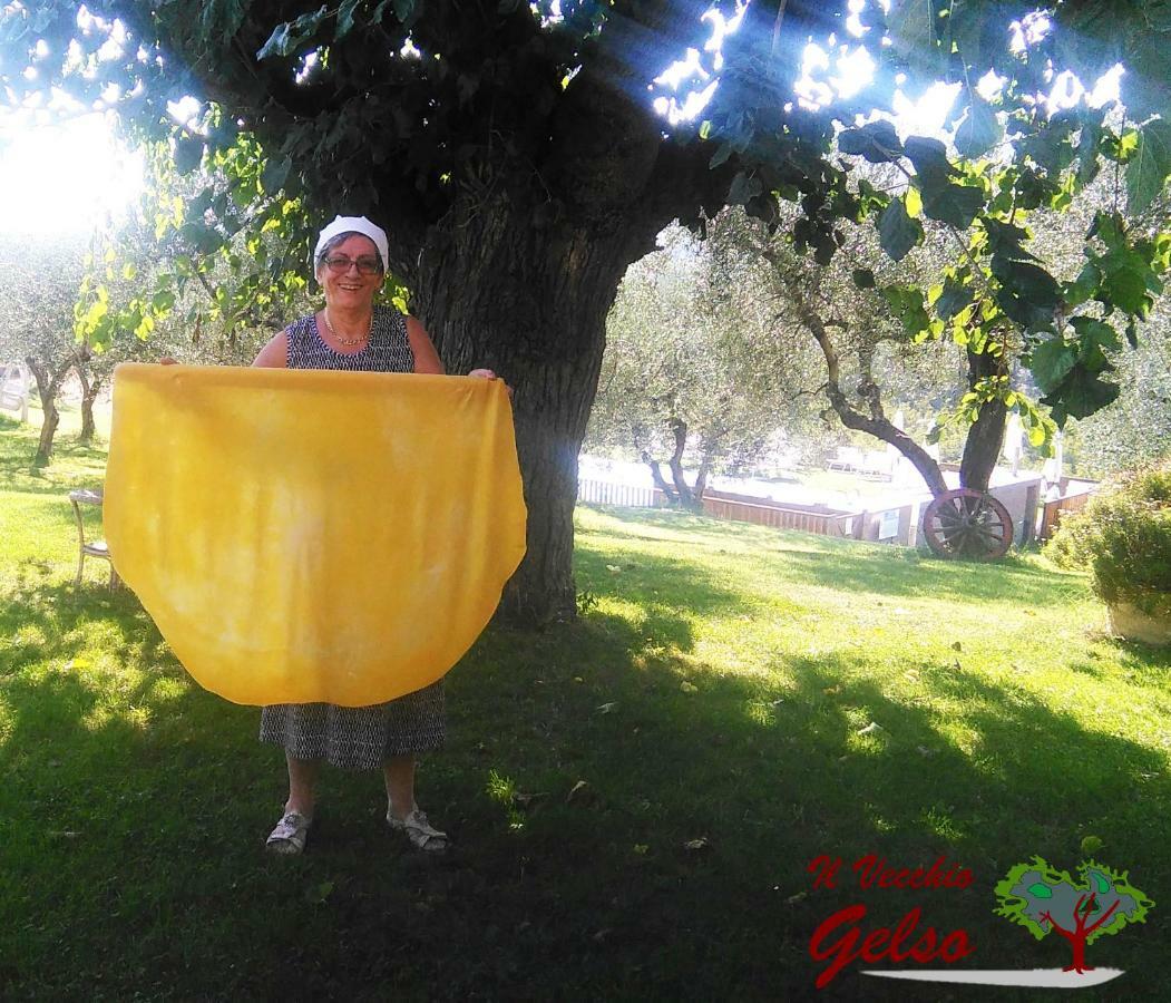 Il Vecchio Gelso - Agriturismo Rimini Montefiore Conca Villa Kültér fotó