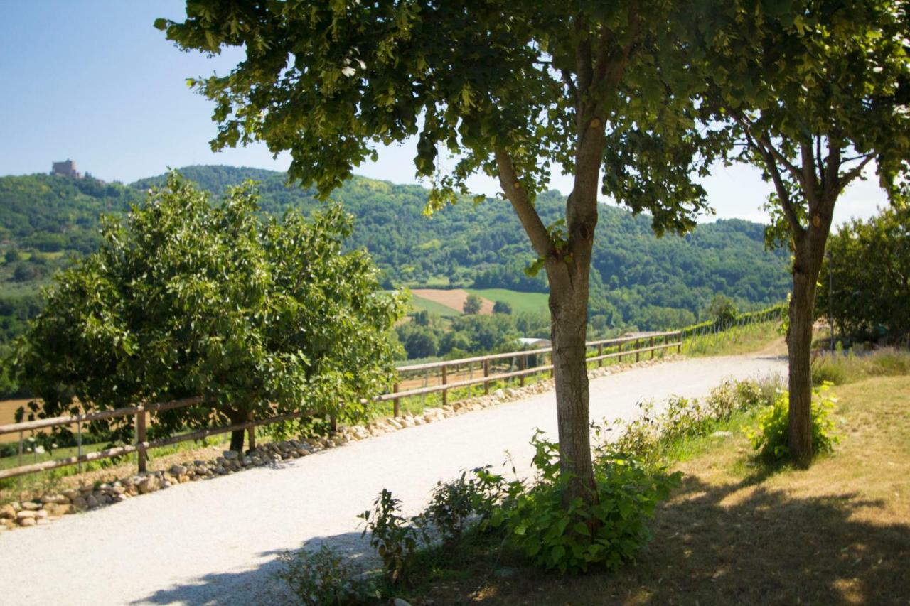 Il Vecchio Gelso - Agriturismo Rimini Montefiore Conca Villa Kültér fotó