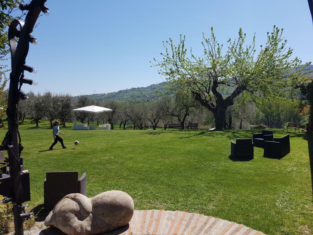 Il Vecchio Gelso - Agriturismo Rimini Montefiore Conca Villa Kültér fotó