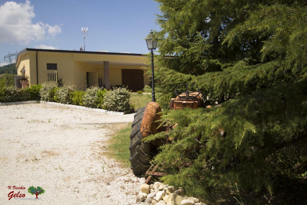 Il Vecchio Gelso - Agriturismo Rimini Montefiore Conca Villa Kültér fotó