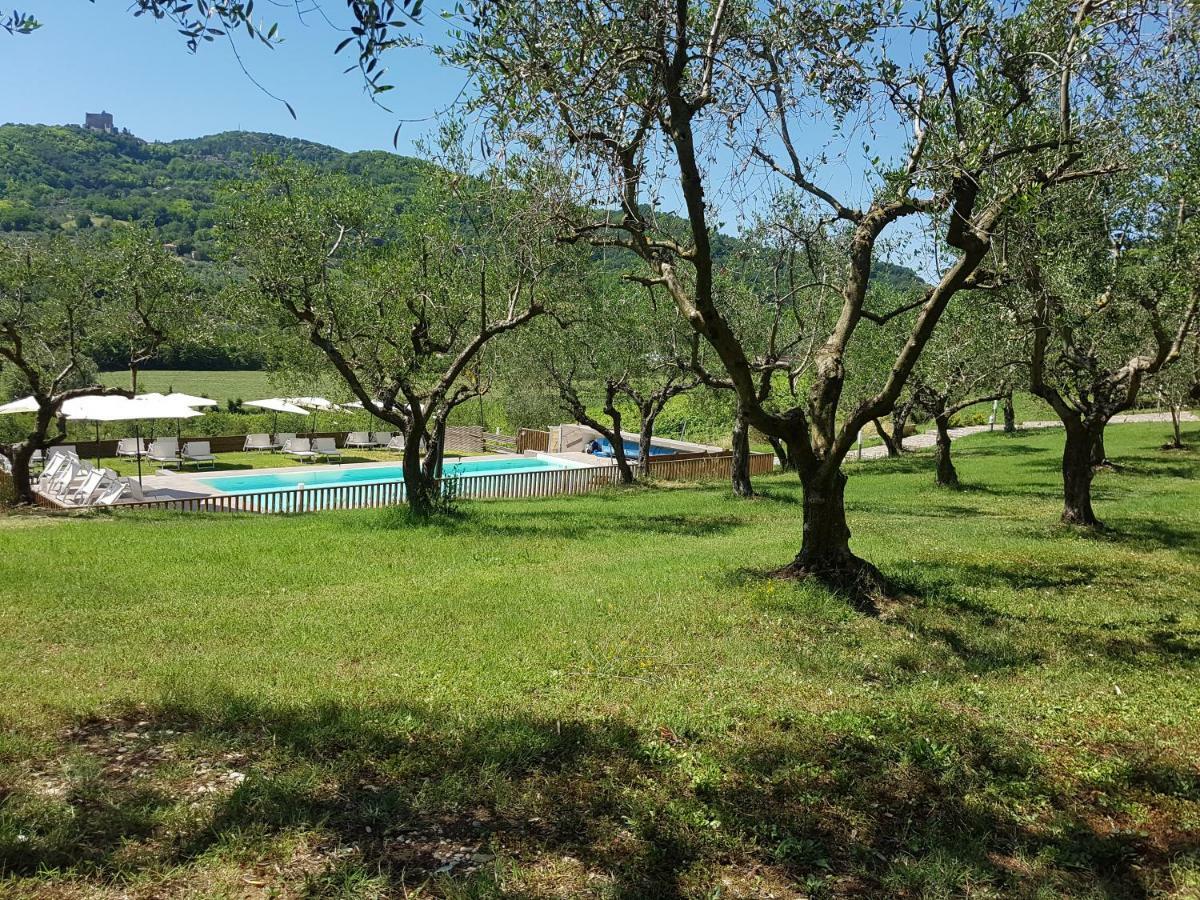 Il Vecchio Gelso - Agriturismo Rimini Montefiore Conca Villa Kültér fotó