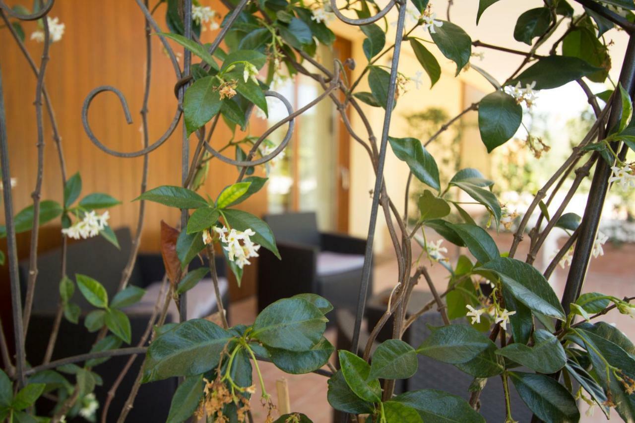 Il Vecchio Gelso - Agriturismo Rimini Montefiore Conca Villa Kültér fotó
