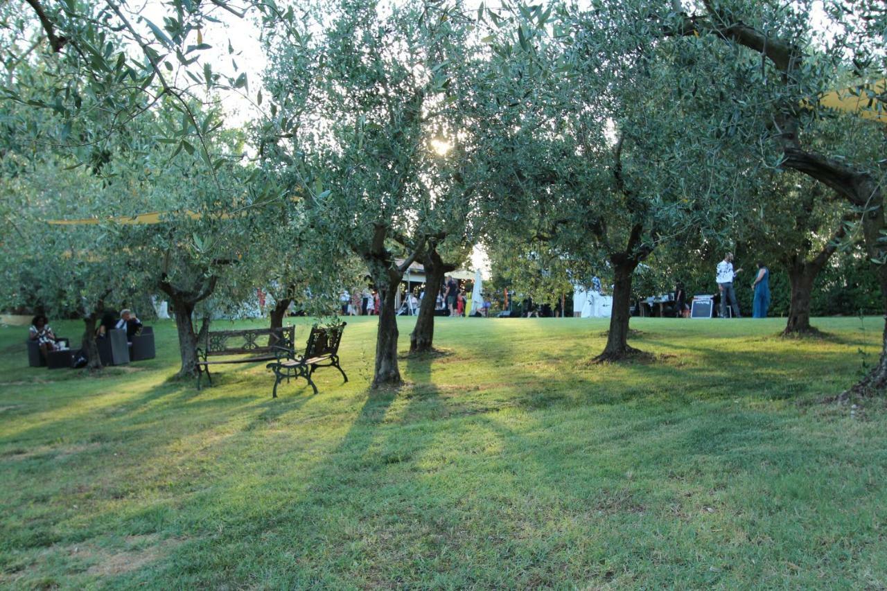 Il Vecchio Gelso - Agriturismo Rimini Montefiore Conca Villa Kültér fotó