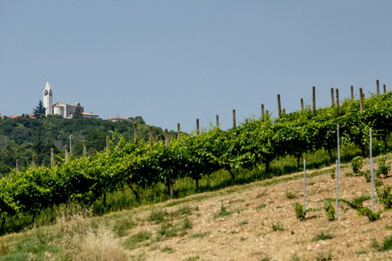 Il Vecchio Gelso - Agriturismo Rimini Montefiore Conca Villa Kültér fotó