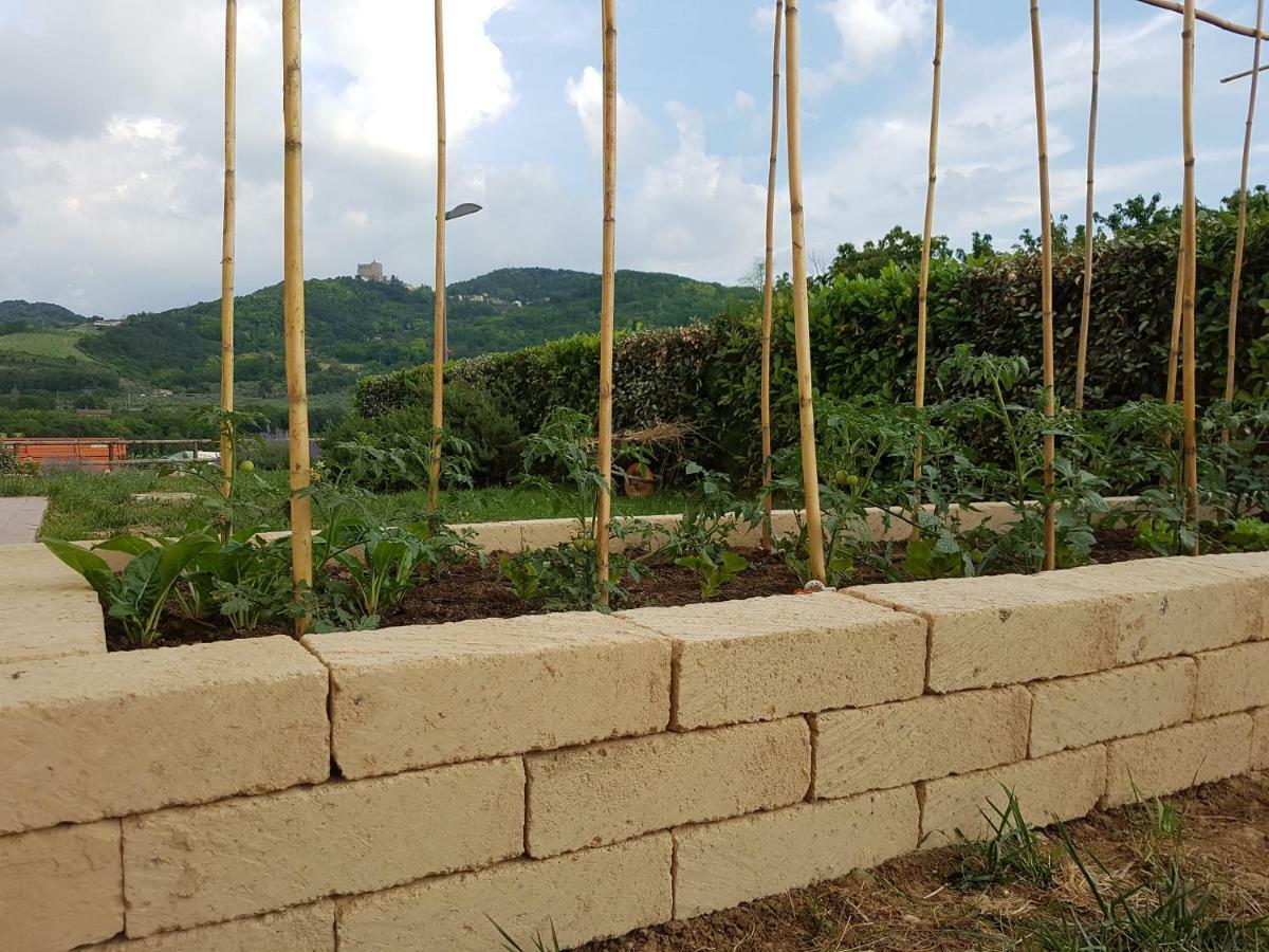 Il Vecchio Gelso - Agriturismo Rimini Montefiore Conca Villa Kültér fotó