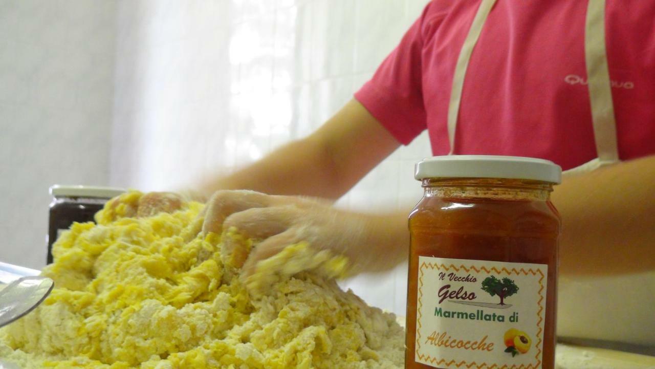 Il Vecchio Gelso - Agriturismo Rimini Montefiore Conca Villa Kültér fotó